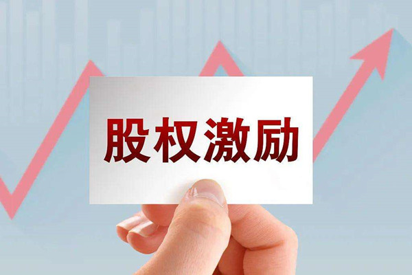 非上市公司為什么要實施股權(quán)激勵？