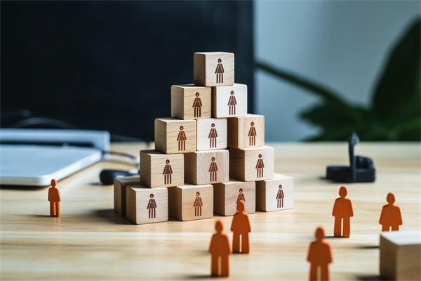 人力資源咨詢公司哪家好，適配企業戰略搭人才梯隊的